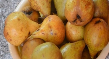 Recept na výrobu celých hruškových povidel na zimu krok za krokem